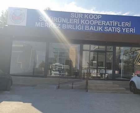 Sür-Koop Balık Satış Yeri